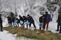BEYKÖY - Doğaya Yem Bıraktılar