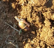 KADIN TERÖRİST - Kızıltepe'de Eylem Hazırlığındaki 2 Terörist Öldürüldü