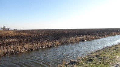Yangın Kendiliğinden Söndü