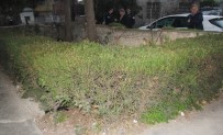 SUİKAST SİLAHI - Adana'da Bahçeye Atılmış Suikast Silahı Bulundu