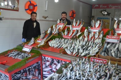 Balık Fiyatlarının Yükselmesi Satışları Etkiledi