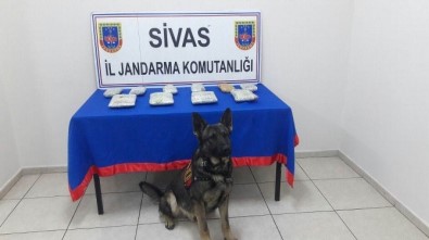 Yolcu Otobüsünde Esrar Ele Geçirildi