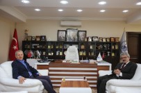YUSUF ZİYA ÇELİKKAYA - Adapazarı Yeni Kaymakamı Çelikkaya'dan Başkan Dişli'ye Ziyaret