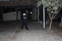 Aydın'da Hırsızlar 2 Bin 350 Yıllık Tarihi Çaldılar