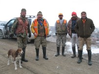 YABAN DOMUZU - Çorum'da Sürek Avı Yapılacak