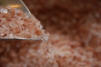 GUATR - Her Geçen Gün İlgi Artıyor