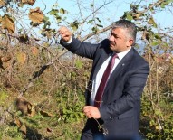 DOĞAL AFET - Üreticilere Tarım Sigortası Çağrısı