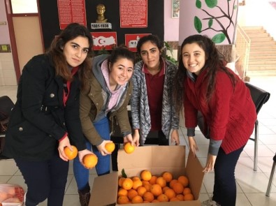 Kumlucalı Öğrenciler Muş Hasköy'e Sebze Meyve Gönderdi