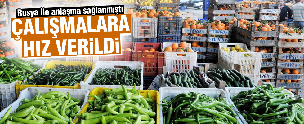 Rusya'yla yaş sebze yasağının kalkması...