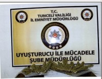 Tunceli'de Esrar Operasyonu