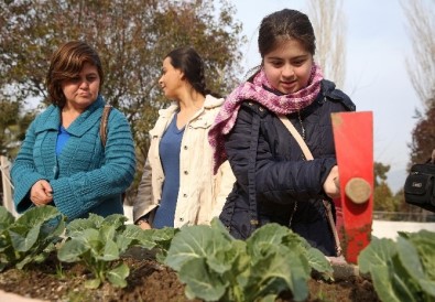 Buca'nın Engelsiz Hobi Bahçelerinde Hasat Zamanı