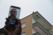 İNTİHAR GİRİŞİMİ - Canlı intihar girişimi