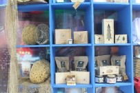 ULUSLARARASı TURIZM VE SEYAHAT FUARı - Marmaris Belediyesi EMITT'te Yerini Aldı