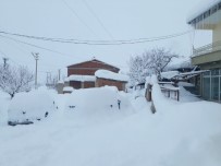 Bingöl Yedisu'da Kar Kalınlığı 50 Santimetreye Ulaştı Haberi