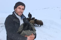 Bunun Adı İnsanlık