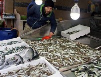 BARBUNYA - Hamsi diğer balıkların fiyatını da yükseltiyor