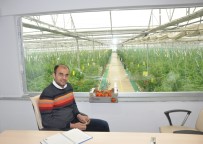 TARIM BAKANLIĞI - Jeotermal Suyun Sıcaklığıyla Serada Domates Üretiyorlar