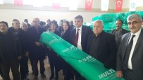 Manisa'da Çilek Kışın Mevsiminde De Yetiştirilecek