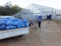 GEBIZ - Seralara Kamyon Kamyon Kömür Taşıyorlar