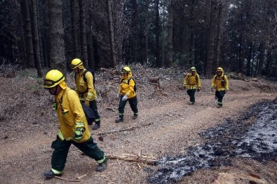 Şili'de Orman Yangınında Ölü Sayısı 11'E Yükseldi