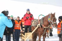 AT YARIŞLARI - Uludağ'da Kızaklı At Yarışları Nefes Kesti, Snowboard Yarışları İlgiyle İzlendi