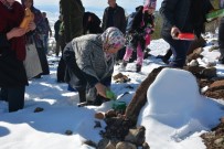 CUMA ÖZDEMIR - Kilis Belediyesinden Doğa Hayvanlarına Gıda Takviyesi