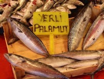 2016 'palamut yılı' oldu