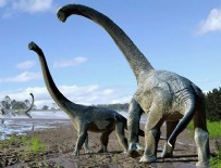 DINOZOR - Dinozorların neslinin tükenmesi ile ilgili yeni iddia