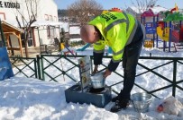 SİGARA İZMARİTİ - Sokak Hayvanları Unutulmadı