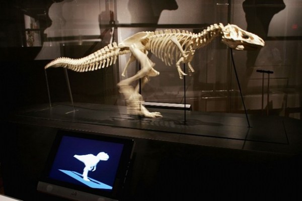 Dinozorların neslinin tükenmesi ile ilgili yeni iddia