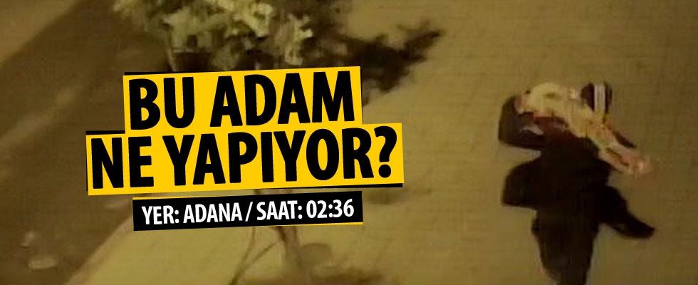 800 kilo sucuk, 350 kilo et çalıp mangal yaptılar