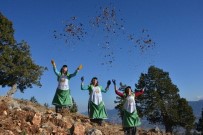 MAHMUT YıLMAZ - Mersin'de 790 Ton Sedir Tohumu Toprakla Buluştu