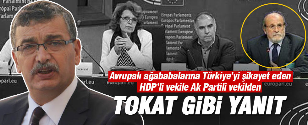 HDP'li Kürkçü'ye tokat gibi cevap.