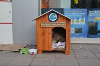 SOKAK KÖPEĞİ - O Köpek İçin Kent Konyesi'nden Özel Kulübe