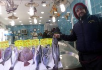 BALIK FİYATLARI - Kar Yağdı, Balık Fiyatları Tavan Yaptı