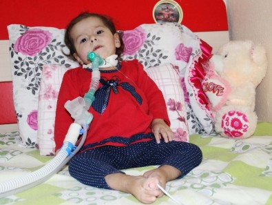 SMA Hastası Minik Zeynep'in Ailesi Yardım Bekliyor