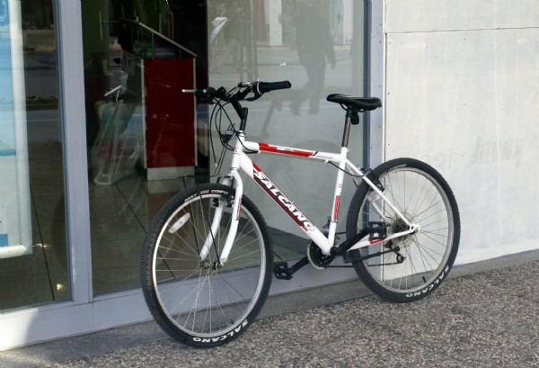 Bisikletini çalan hırsızı yerin dibine soktu