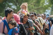 2 Bin 200 Aile Halep'e Döndü