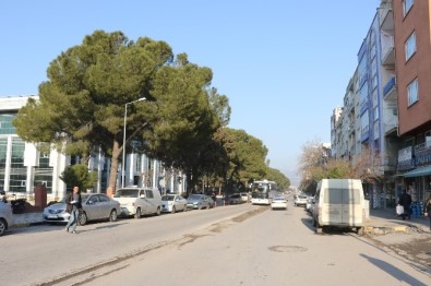 Atatürk Caddesi Prestijine Kavuşuyor