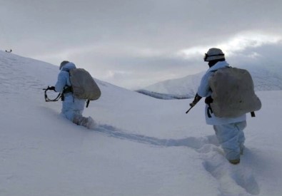 Bitlis'te Terör Örgütüne Ait Sığınaklar Kullanılamaz Hale Getirildi