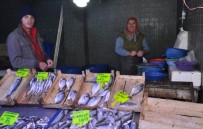 ALIM GÜCÜ - Hava Muhalefeti Balık Fiyatlarını Yükseltti
