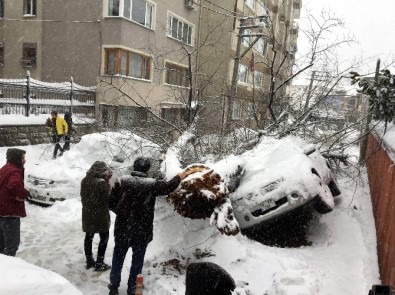 Bursa'da Yoğun Kar Asırlık Ağacı Yıktı, Tramvay Seferleri Güçlükle Yapılabiliyor...(ÖZEL HABER)
