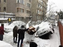 İMTIHAN - Bursa'da Yoğun Kar Asırlık Ağacı Yıktı, Tramvay Seferleri Güçlükle Yapılabiliyor...(ÖZEL HABER)