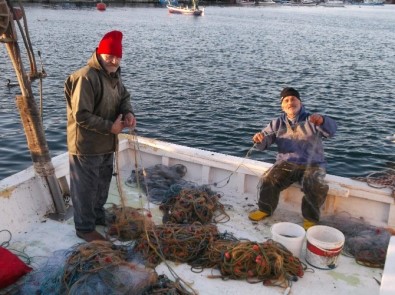 Palamut Gitti, Küçük Balıkçılar İçin Umutlar Bitti