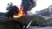 ÇAM AĞACI - Samsun'da Yangın