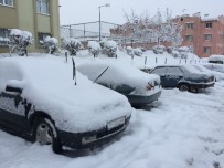 Sakarya'da Kar Kalınlığı 25 Santimetreye Ulaştı