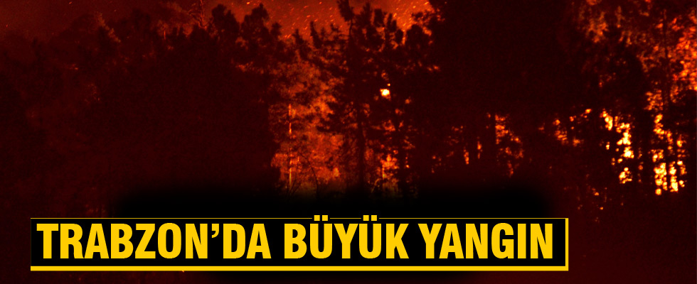 Trabzon'da ormanlık alanda yangın