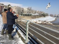 Mustafakemalpaşa'da Kardan Etkilenen Hayvanlar Unutulmadı