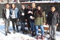 Ordu'da 18 İlçede Okullar Tatil Edildi