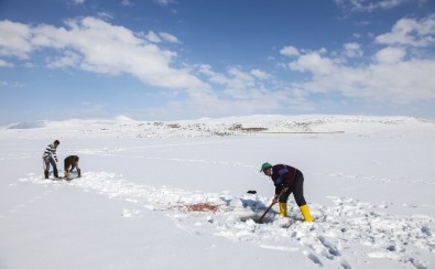 Buz Kaplı Gölde 'Eskimo' Usulü Balık Avı